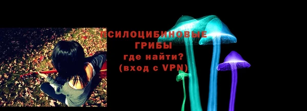PSILOCYBIN Арсеньев