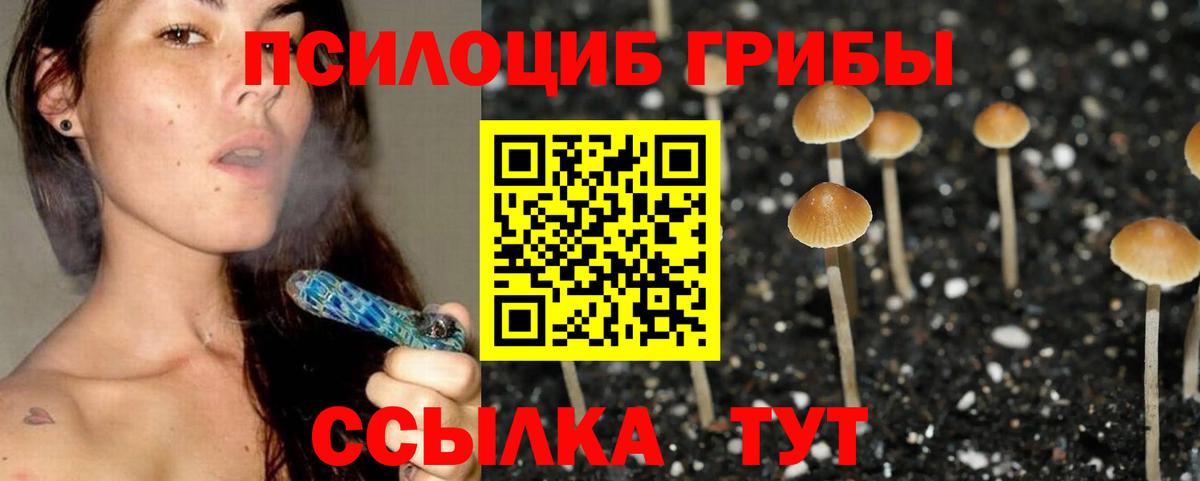 Полысаево  Галлюциногенные грибы MAGIC MUSHROOMS  купить наркотик  Псилоцибиновые грибы GOLDEN TEACHER  Вход с VPN 